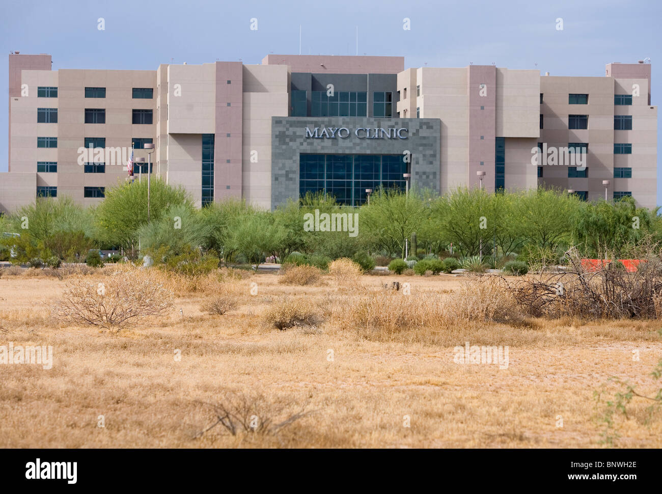 The Mayo Clinic in Arizona.  Stock Photo