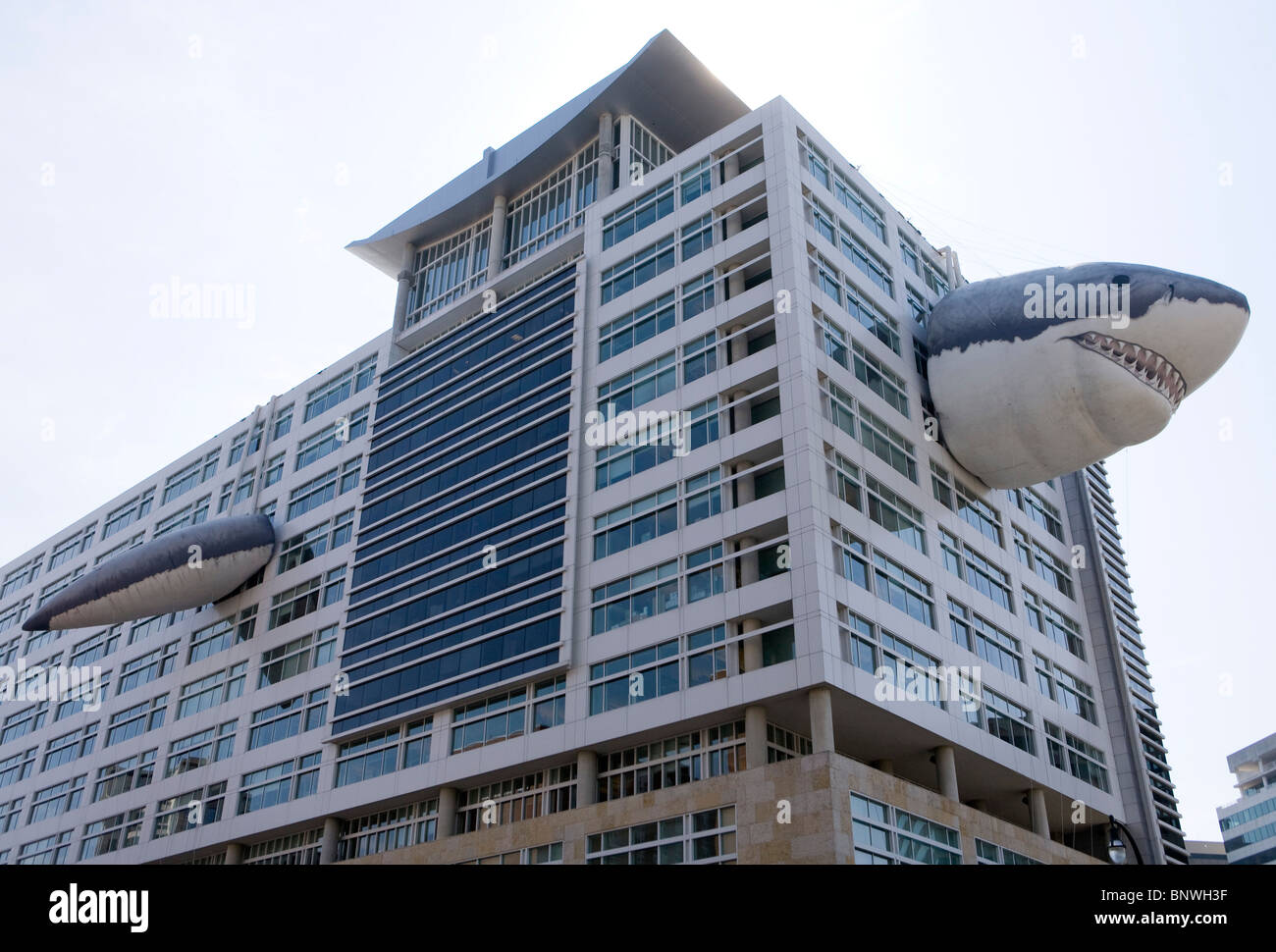 Discovery Channel headquarters with Shark Week decorations. Stock Photo