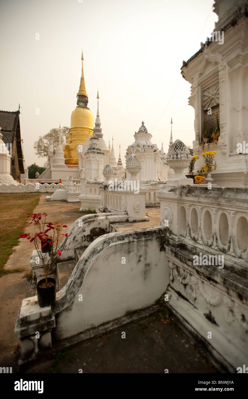 Wat Suan Dok, Chiang Mai, Chiang Mai Province, Thailand, Asia Stock Photo