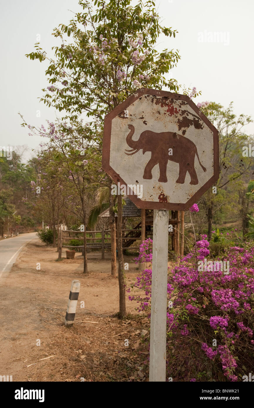 Elephant Conservation Center, Lampang, Thailand, Asia Stock Photo