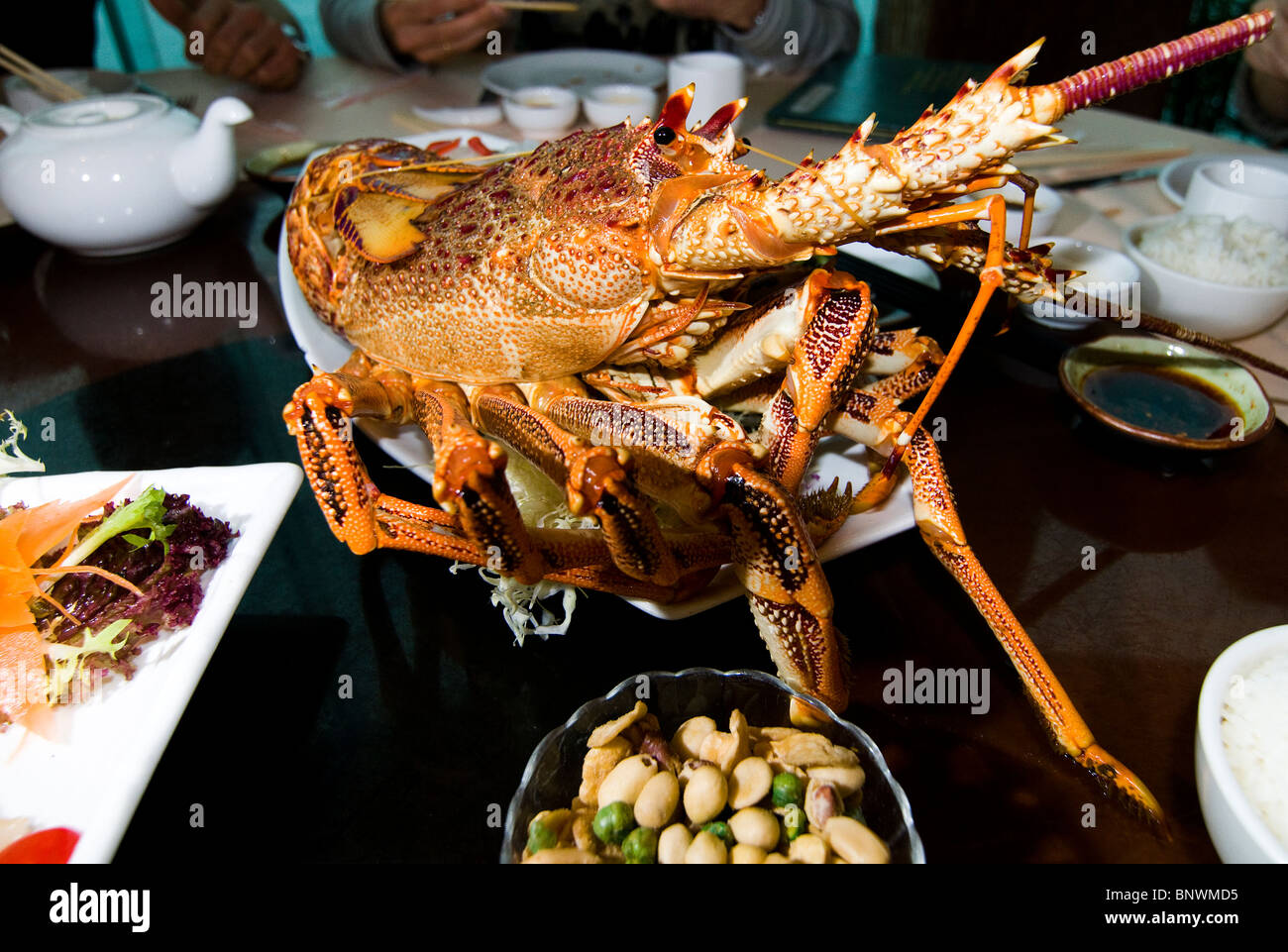 A big tasty Lobster. Stock Photo