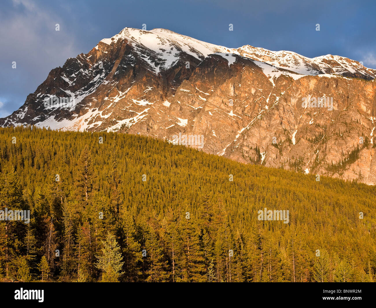 Mount Hardisty along the Icefields Parkway Jasper National Park Alberta