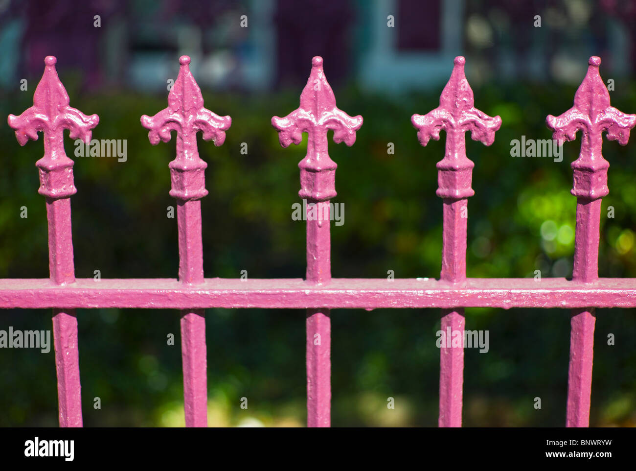 Close up of pink iron fence Stock Photo Alamy