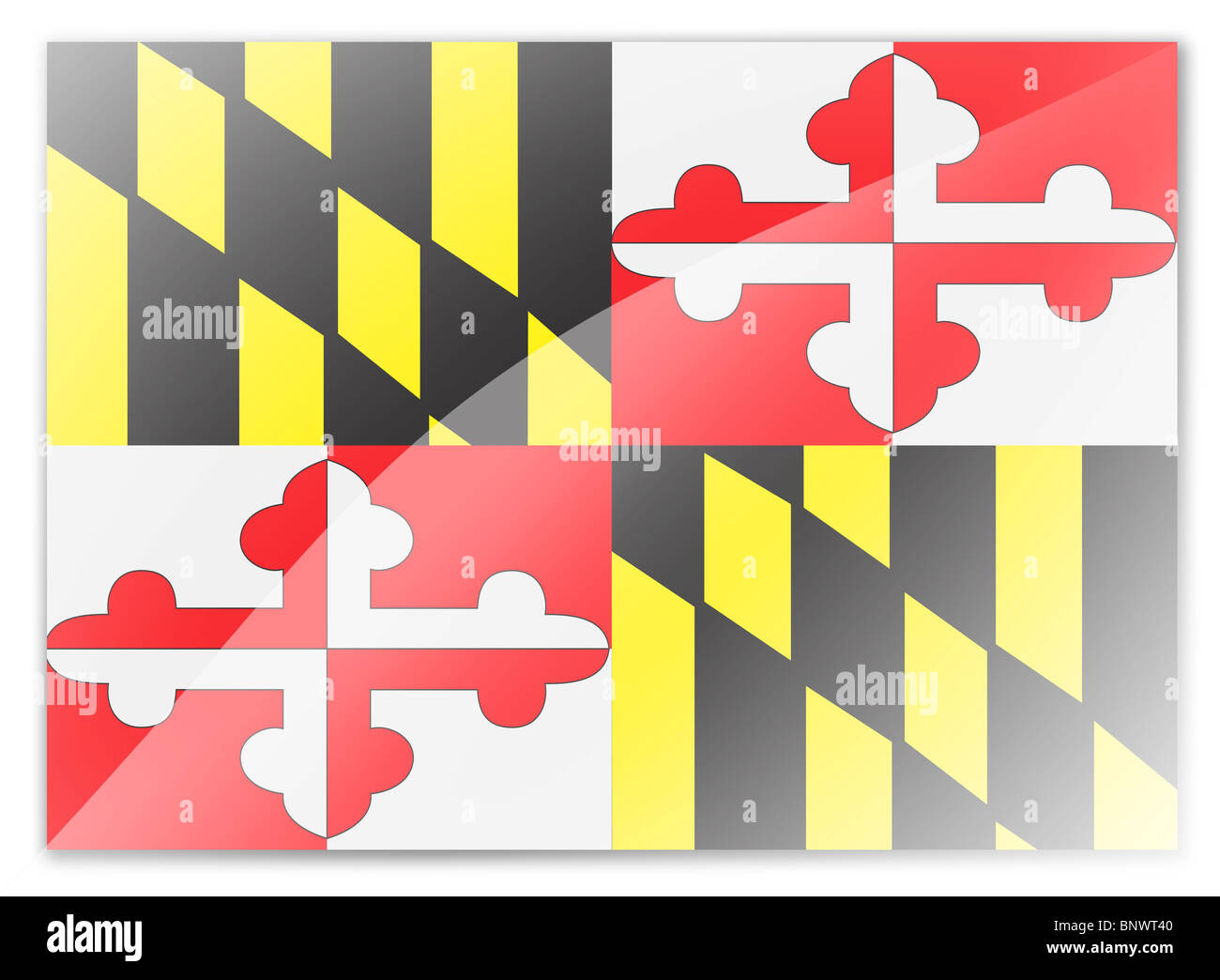 Baseball Maryland state flag. Maryland flag background Baseball