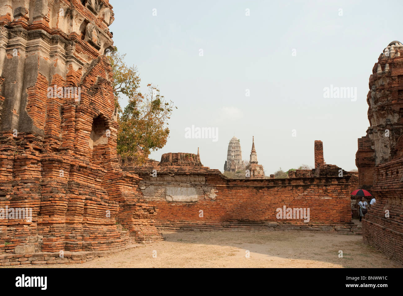 Wat Maha That, Ayutthaya, Ayutthaya Province, Thailand, Asia Stock Photo