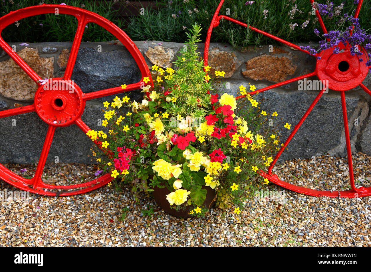 Flower Decoration In A Garden Old Iron Wagon Wheels Stock Photo