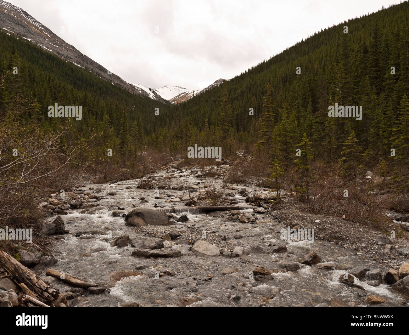 Sulphur Creek at Miette Hot Springs Jasper National Park Alberta Canada