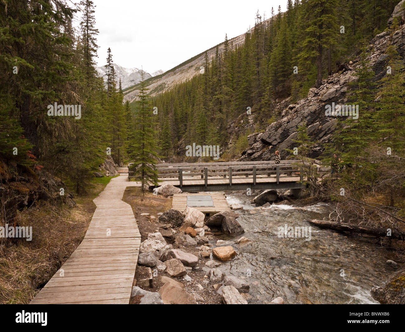 Sulphur Creek at Miette Hot Springs Jasper National Park Alberta Canada Stock Photo Alamy
