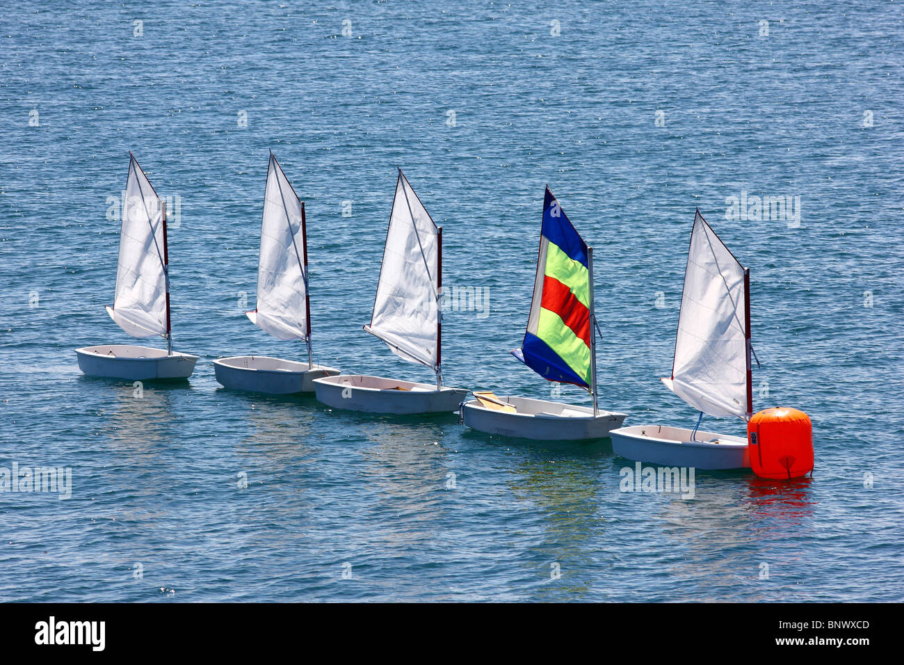 Small sailing boats, Optimist class, in a row at sea, fixed at a buoy. Typical sailing school class boats for children. Stock Photo