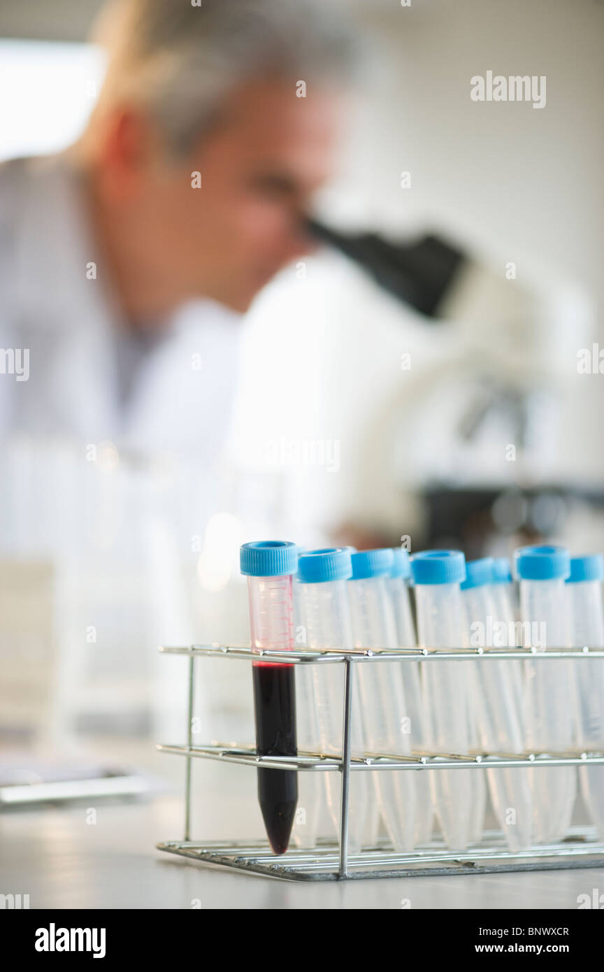 Vials in research lab Stock Photo Alamy
