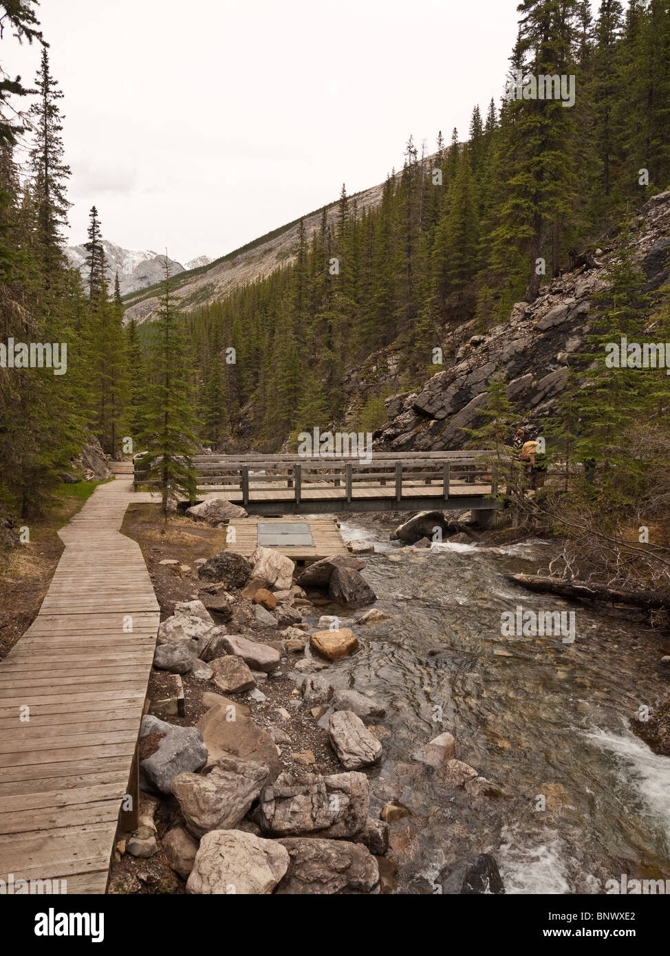Sulphur Creek at Miette Hot Springs Jasper National Park Alberta Canada
