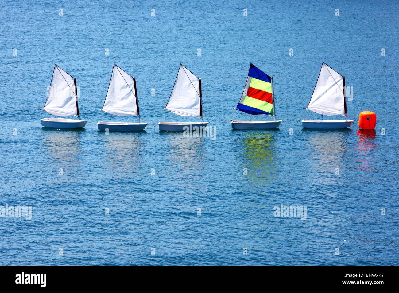 Small sailing boats, Optimist class, in a row at sea, fixed at a buoy. Typical sailing school class boats for children. Stock Photo