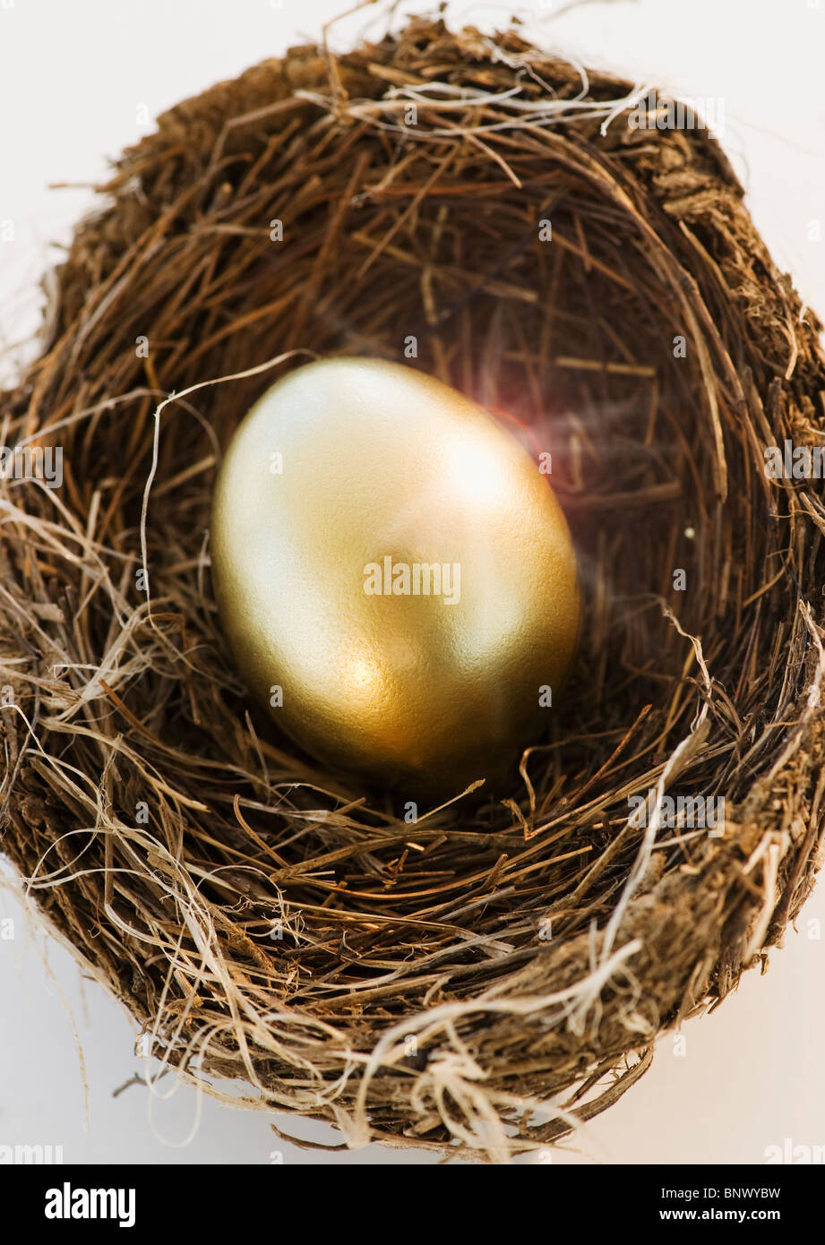 Bird's eggs in a nest Stock Photo