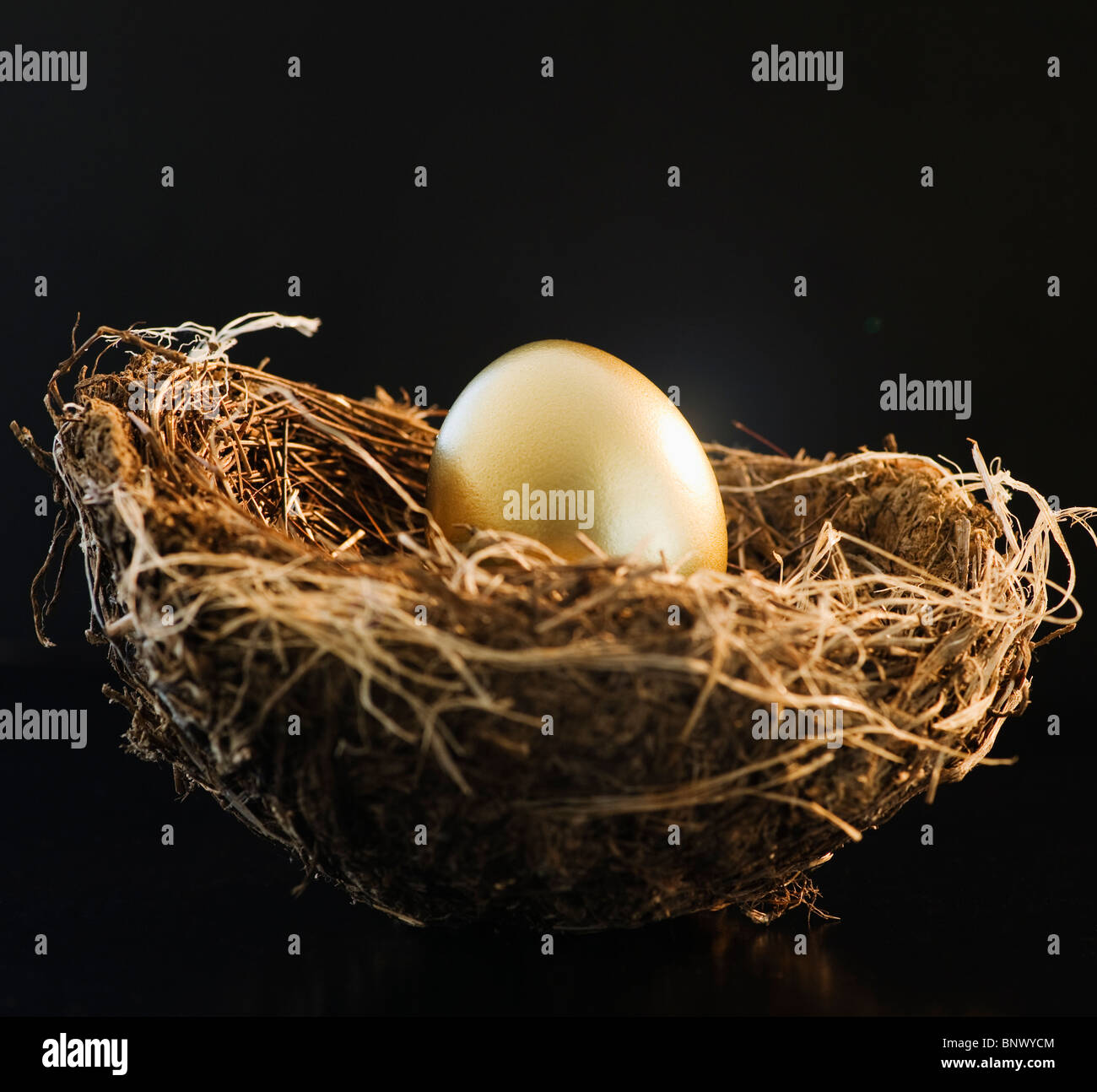 Golden egg in a bird nest Stock Photo - Alamy