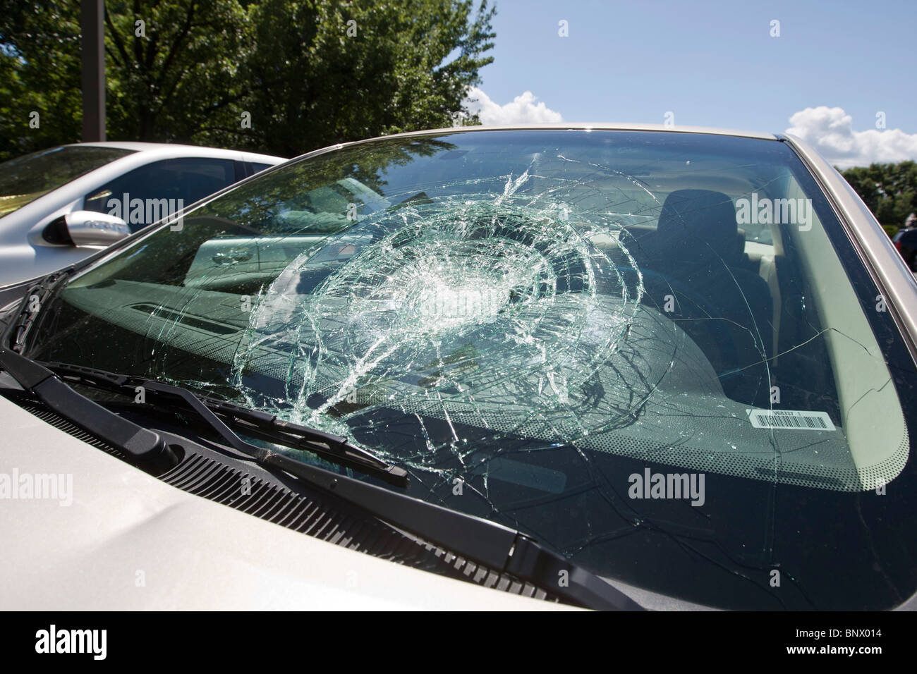 smashed front windscreen of a parked car Stock Photo 30688928 Alamy
