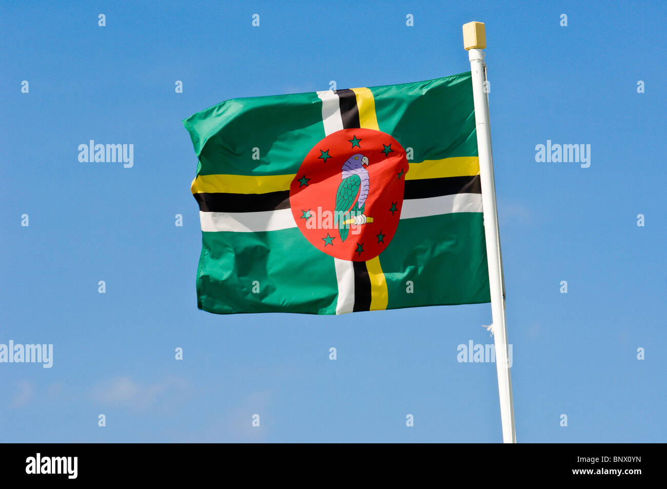 Dominica Flag Stock Photo