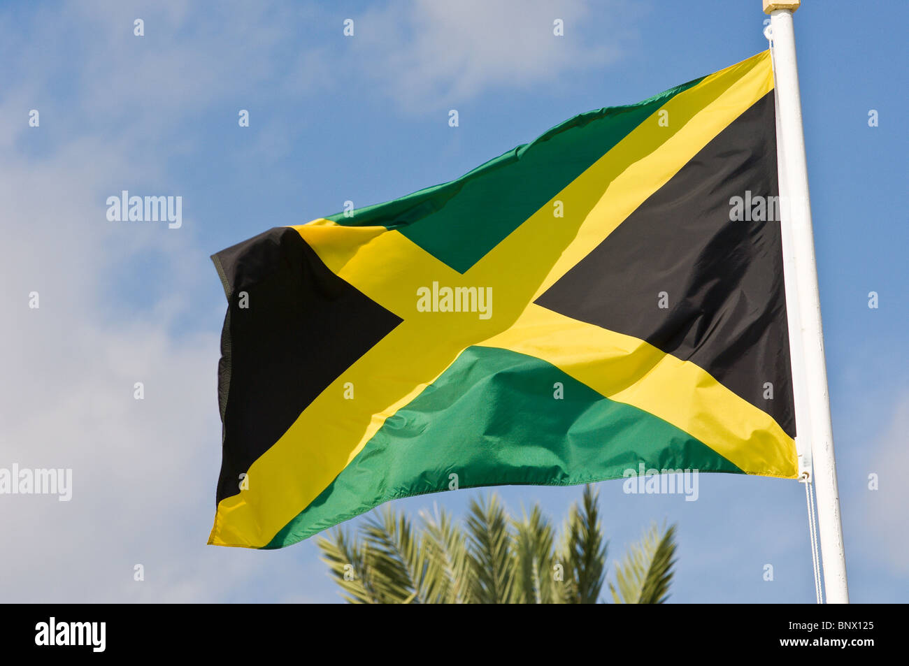 Jamaica flag. Stock Photo