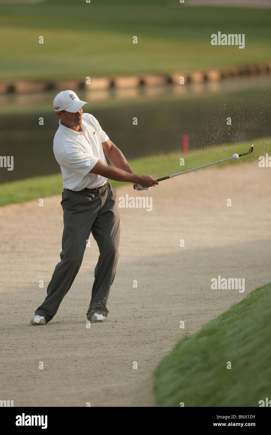 Tiger Woods hits onto the 11th green from a green-side bunker during a practice round at the 2009 Players Championship. Stock Photo