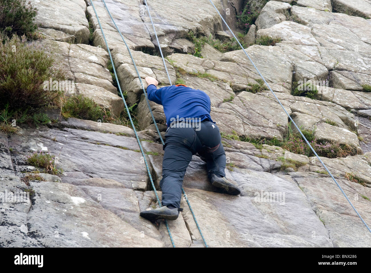Man Climbing at Barmouth Slabs nr Barmouth Gwynedd Mid Wales Stock