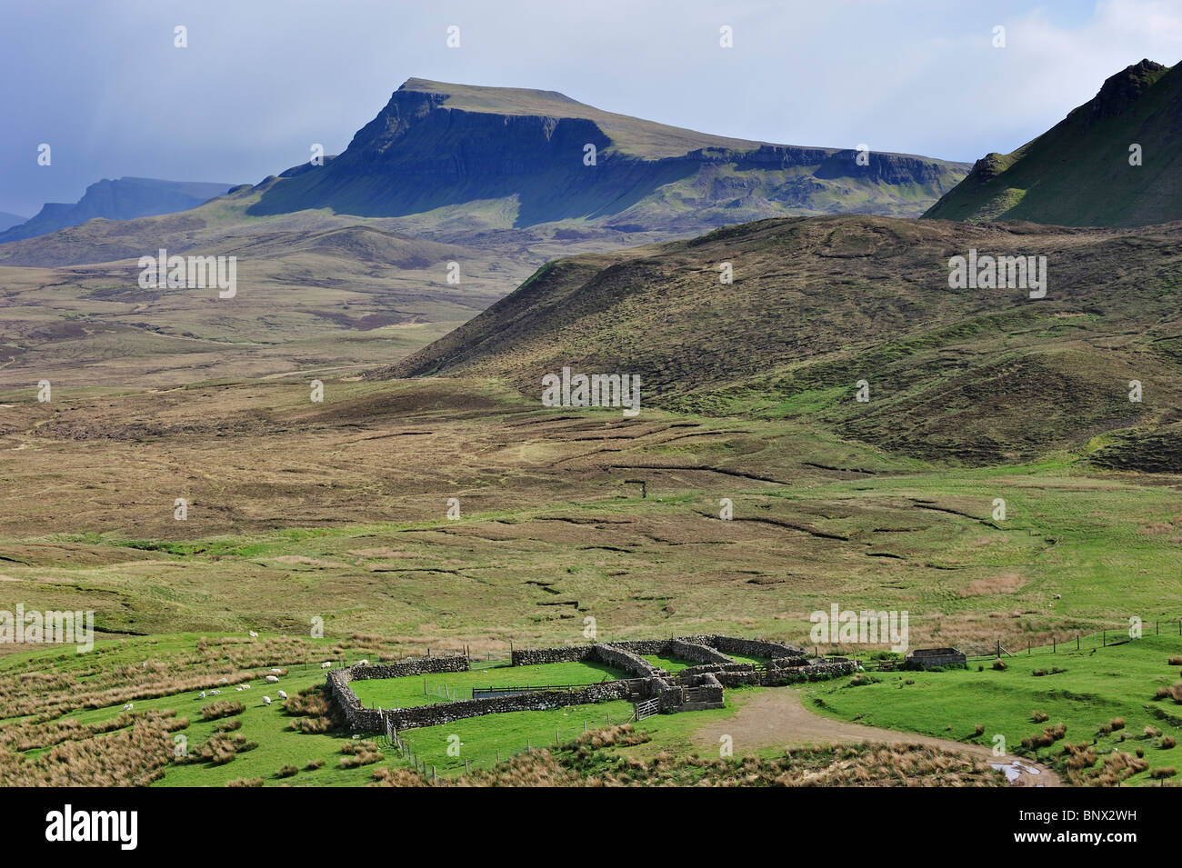 Dry stone sheep pen on the Isle of Skye, Inner Hebrides, Scotland, UK Stock Photo