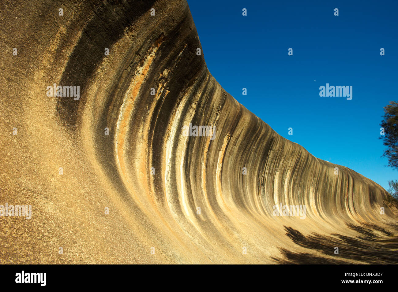 Wave Rock, near Hyden, Western Australia, Australia Stock Photo