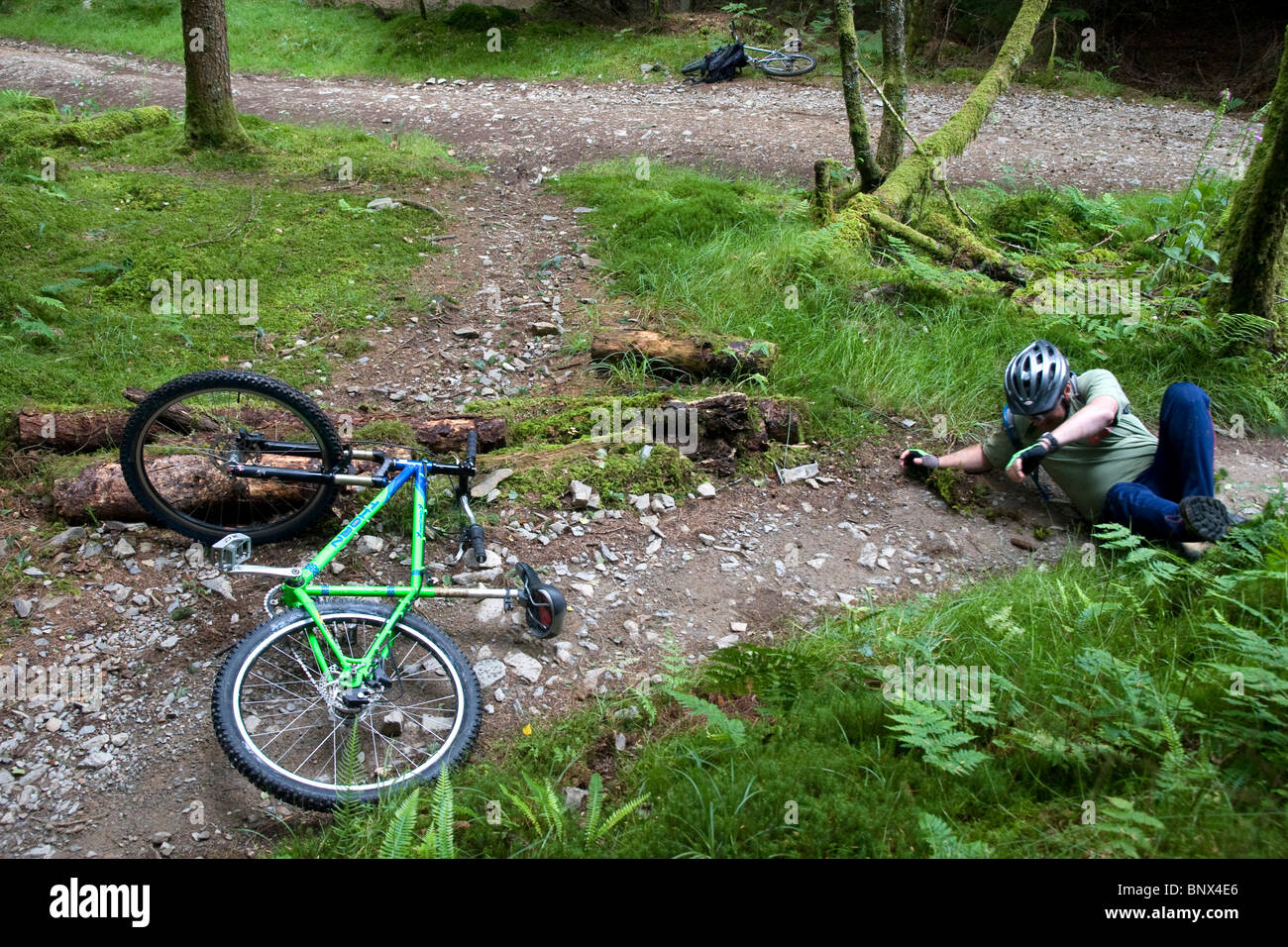 coed y brenin mtb postcode