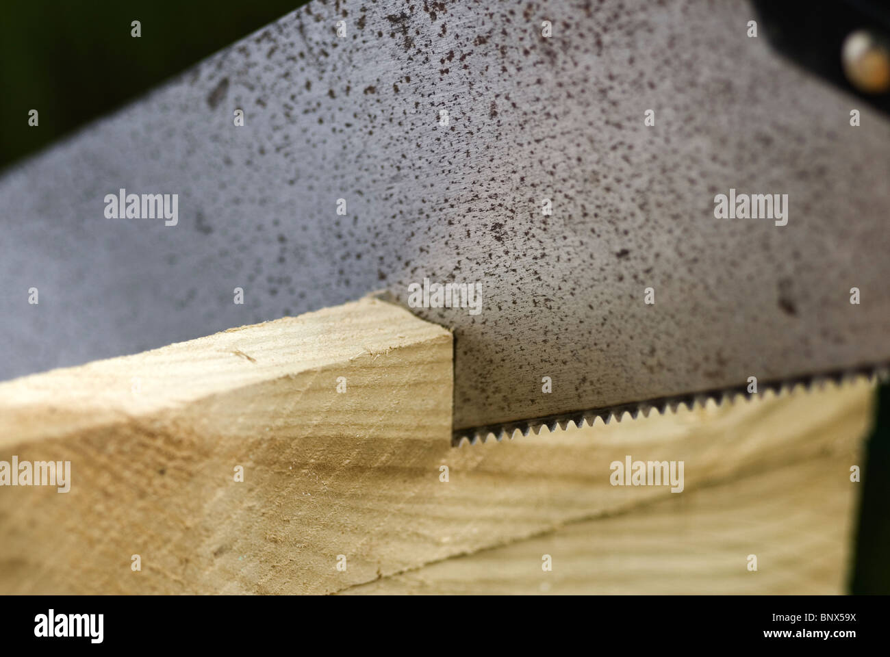 Old saw cutting through new wood Stock Photo