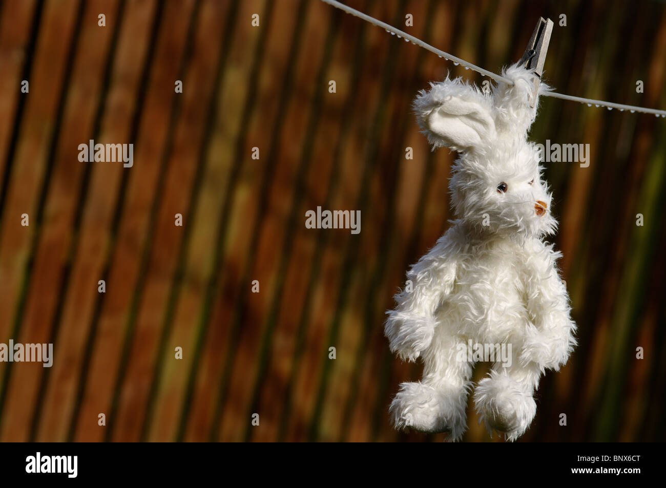 toy bunny hanging out to dry on a washing line Stock Photo