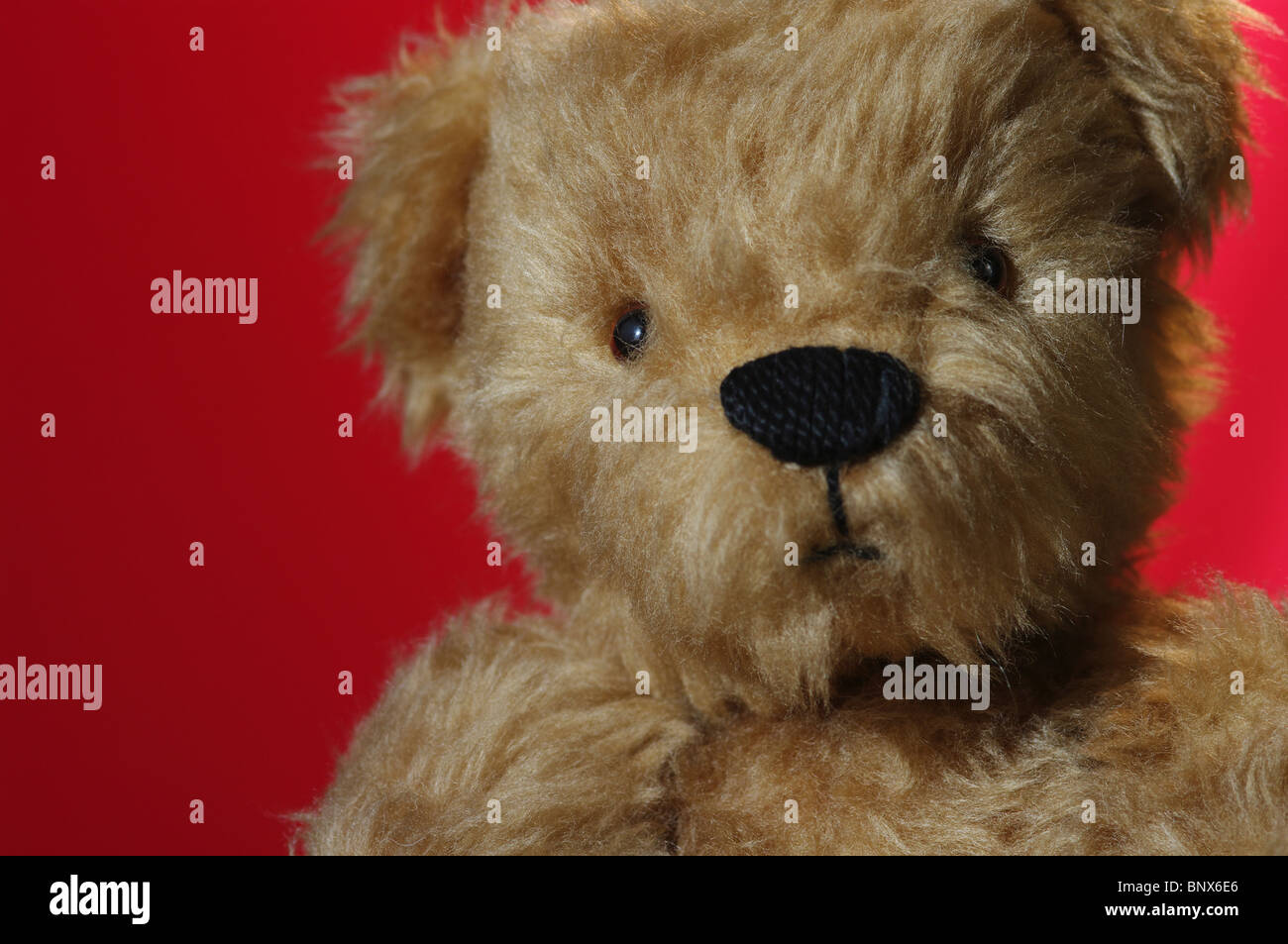 Antique teddy bear against a red background Stock Photo