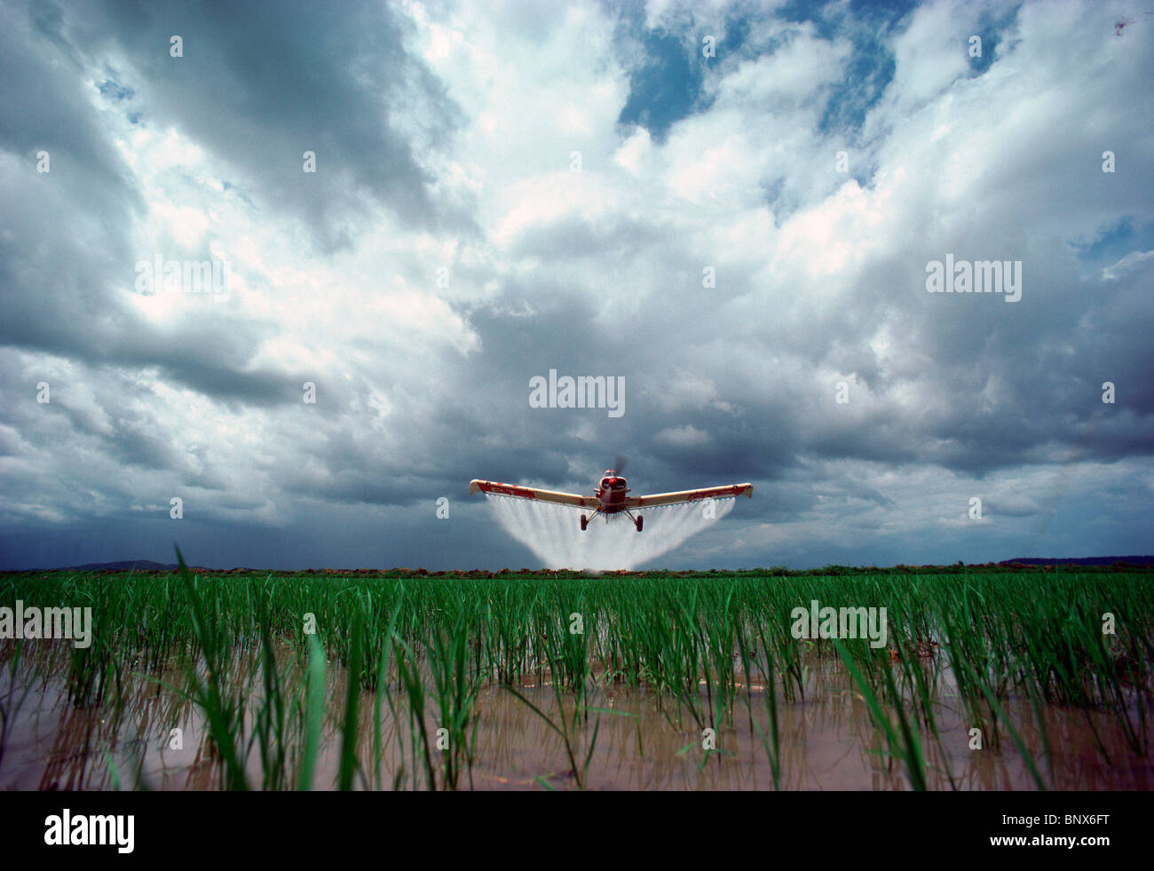 Cropduster spraying rice paddy at Jari Forestal, Brazil. Stock Photo