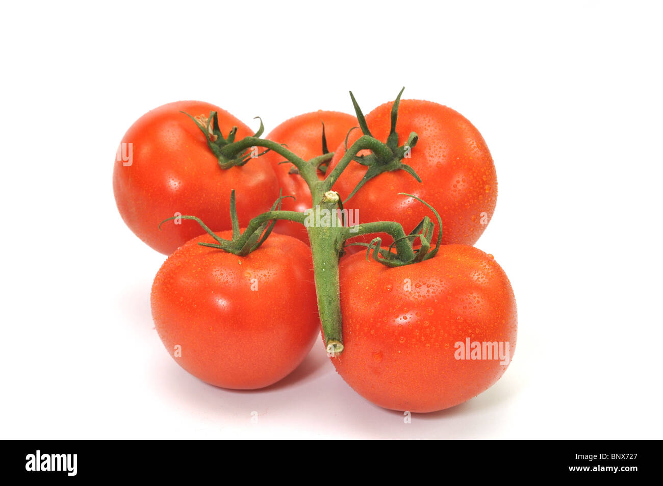 Tomatoes on vine isolated on white background Stock Photo - Alamy