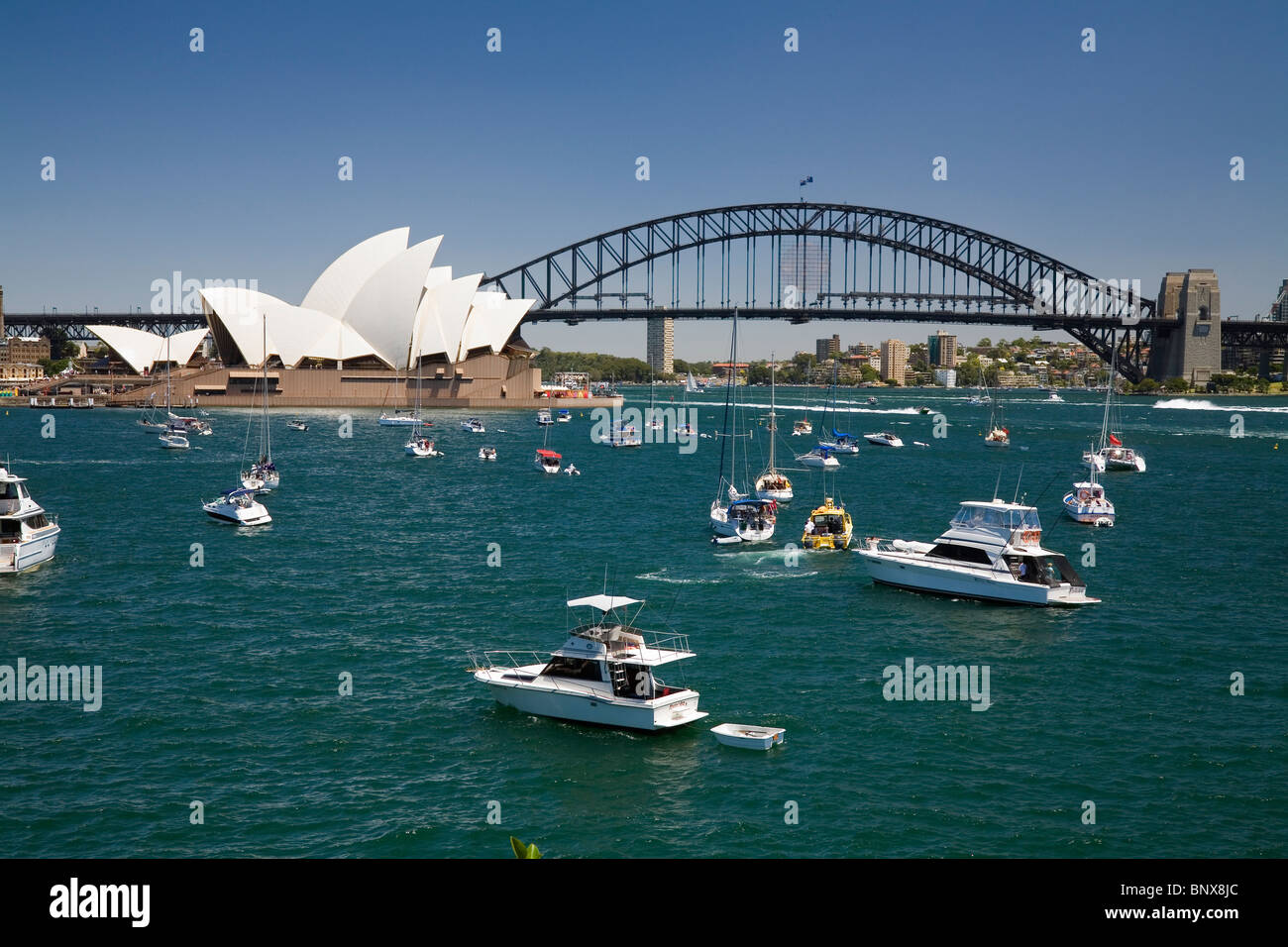 Boats fill Farm Cove for New Year's Eve celebrations on Sydney harbour. Sydney, New South Wales, AUSTRALIA Stock Photo