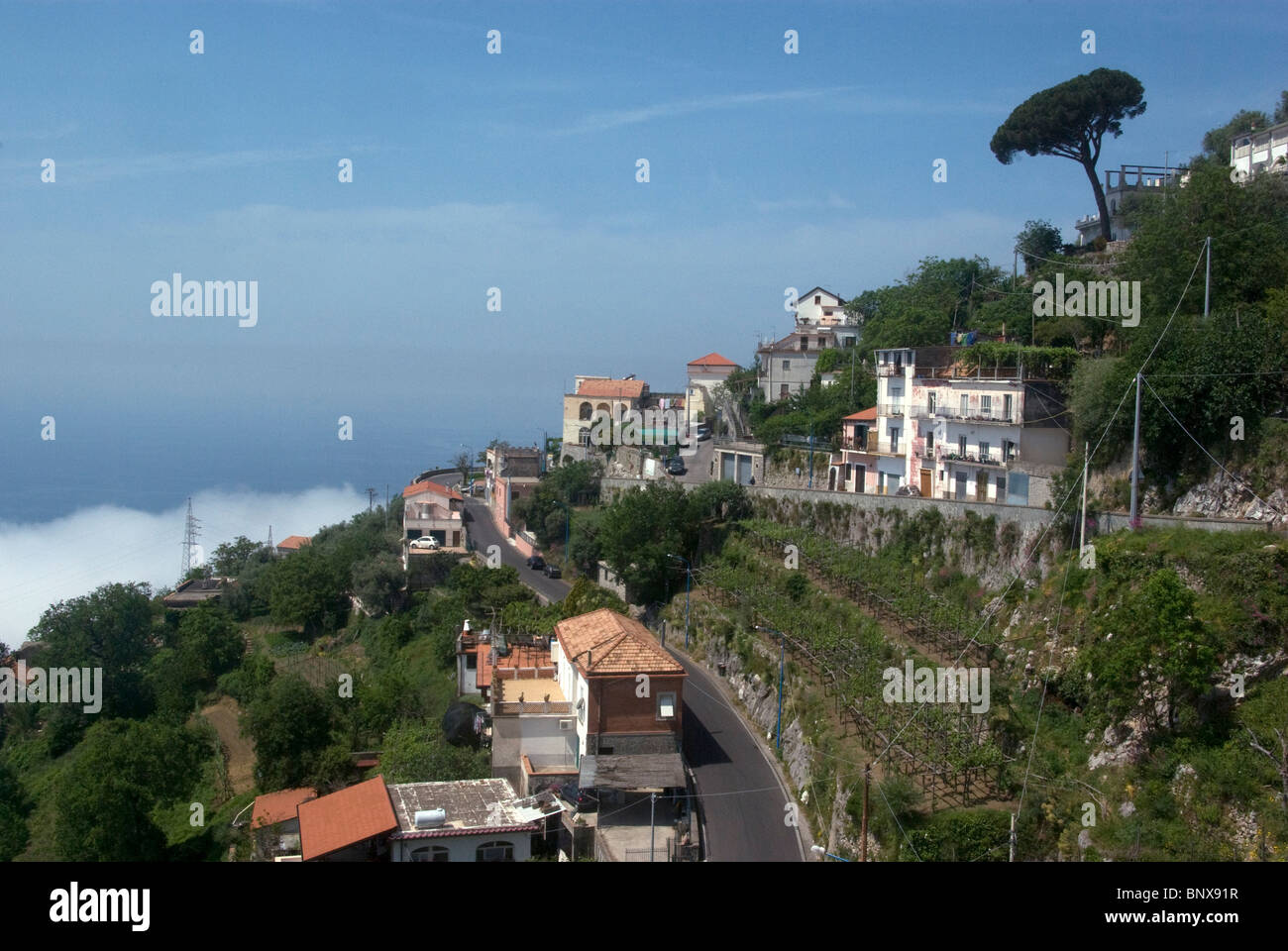 Vineyards at Furore, Amalfi Coast, Campania, Italy Stock Photo