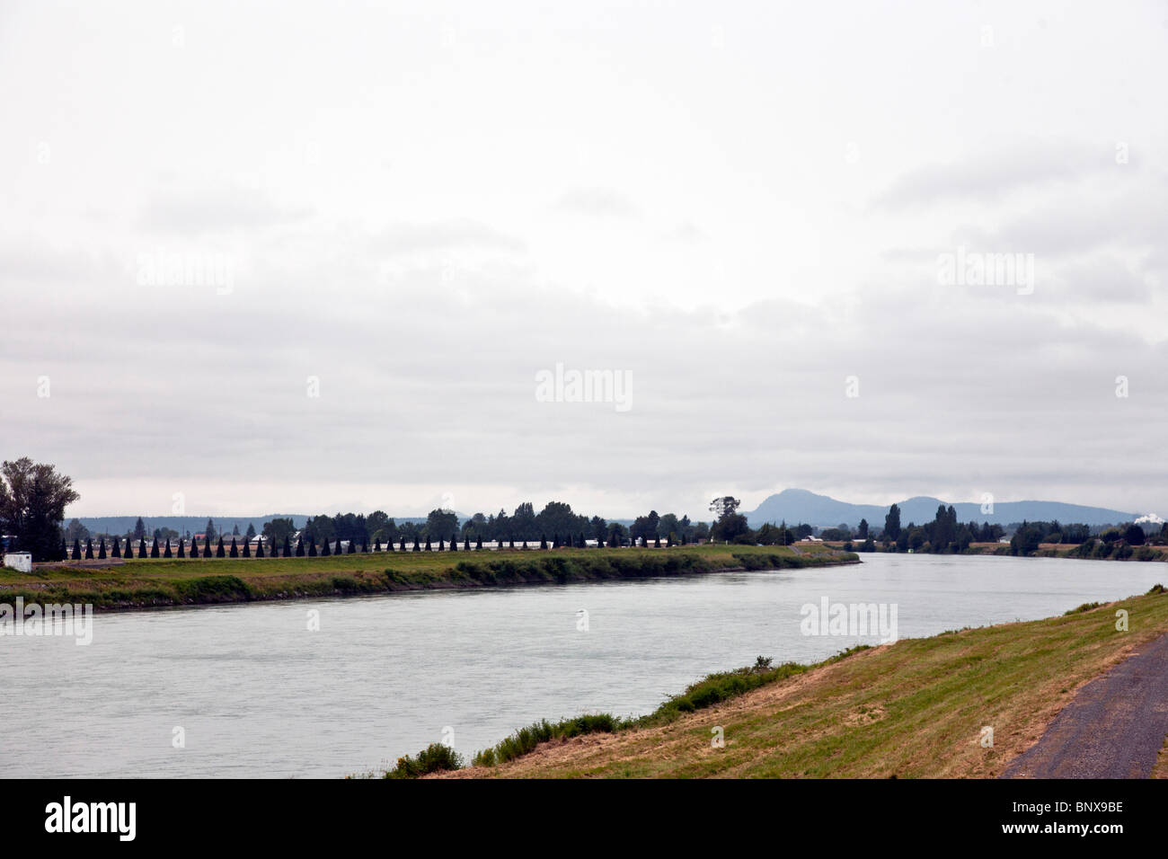 gray water of Skagit River lined with young conifers & distant mountains under overcast sky rural Skagit County Washington Stock Photo