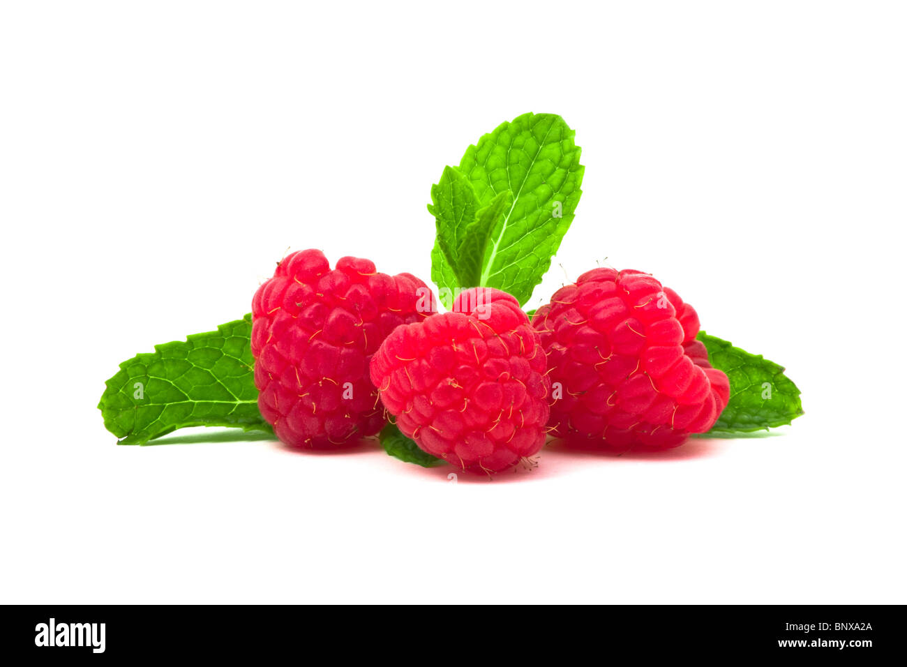 Closeup raspberries mint leaves hi-res stock photography and images - Alamy