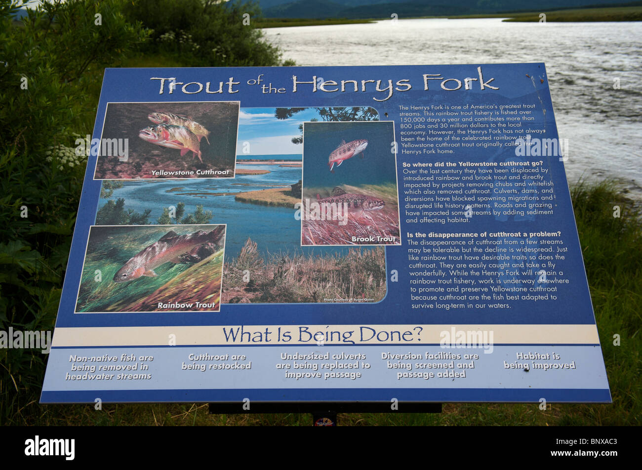 Henry's Fork of the Snake River near Last Chance, Idaho Stock Photo Alamy