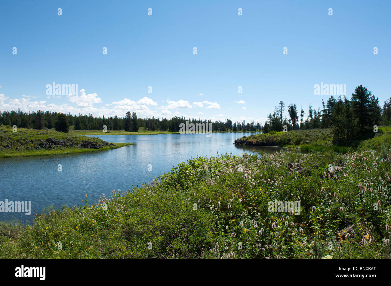 Henry's fork hires stock photography and images Alamy