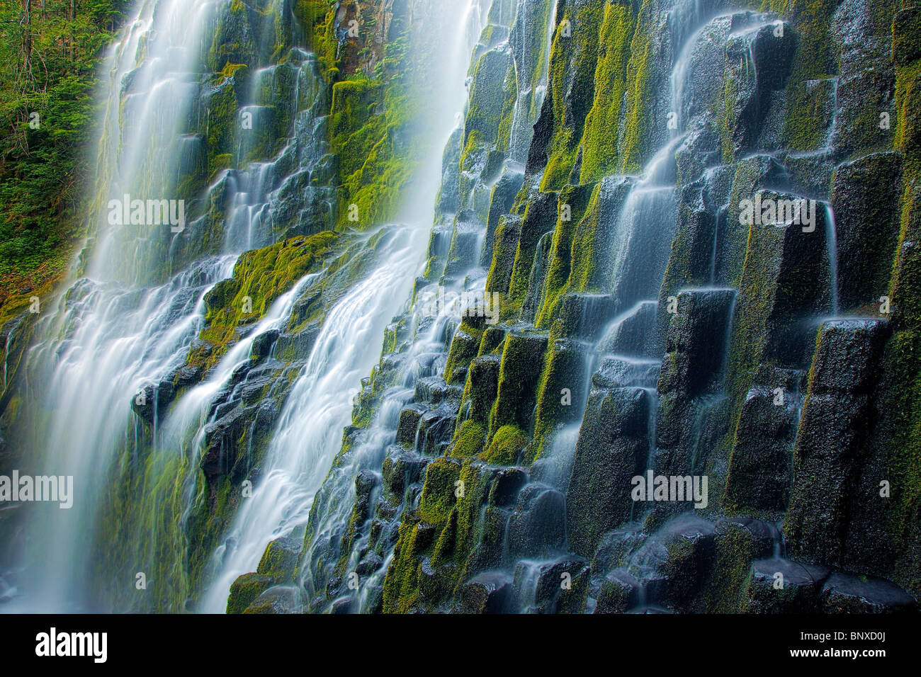 Lower Proxy Falls in Proxy Falls state park in the Three Sisters Wilderness Stock Photo