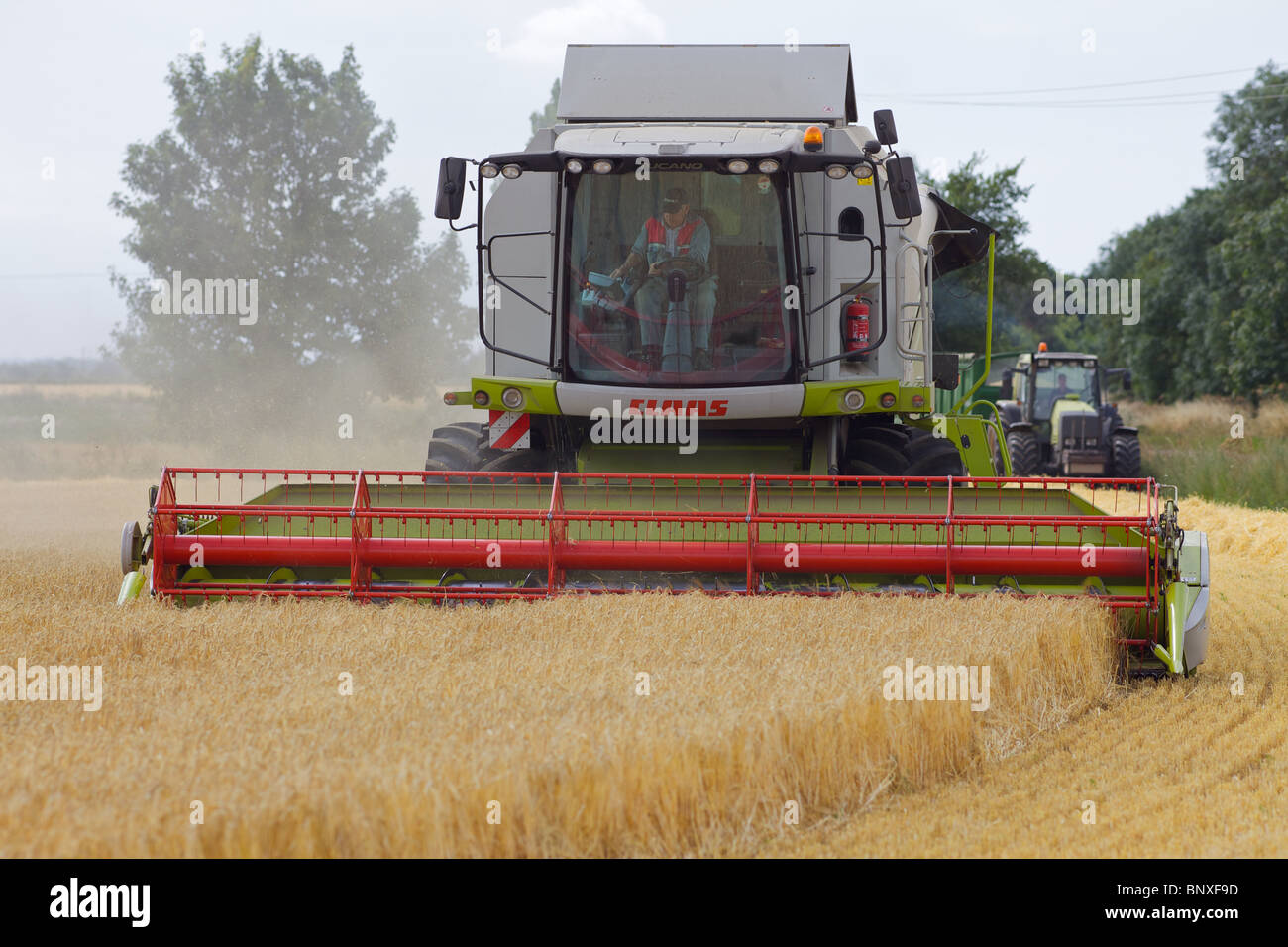 Cutting the wheat in England Stock Photo Alamy