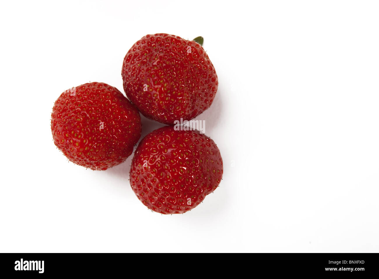 Fresh Red Strawberries on a White Isolated Background Stock Photo - Alamy