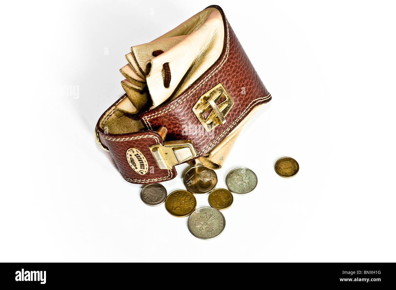 Leather Bag For Storing The Money And Coins Stock Photo - Download