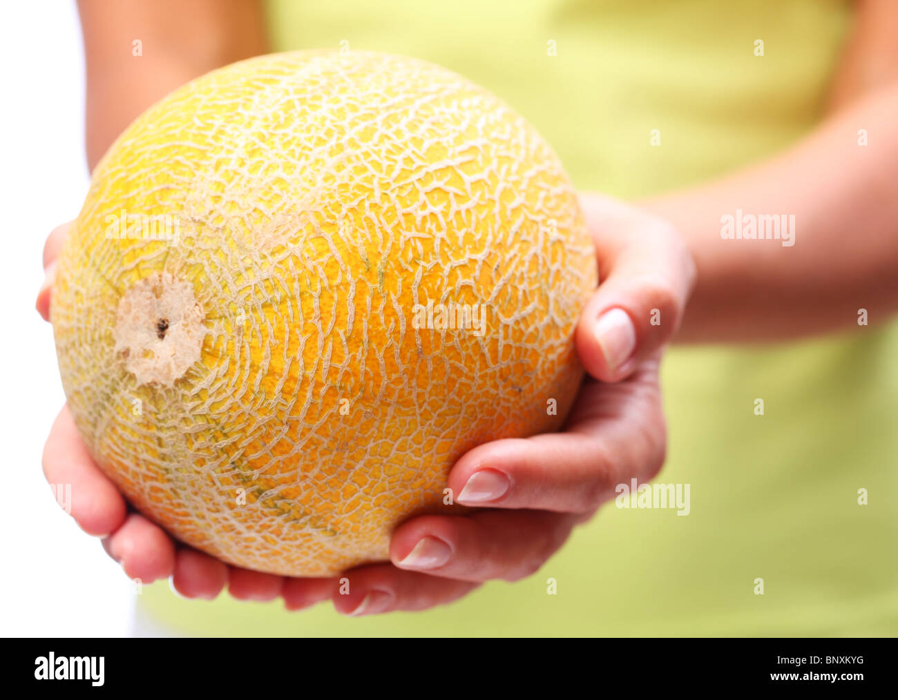 Melon in woman hands. Stock Photo