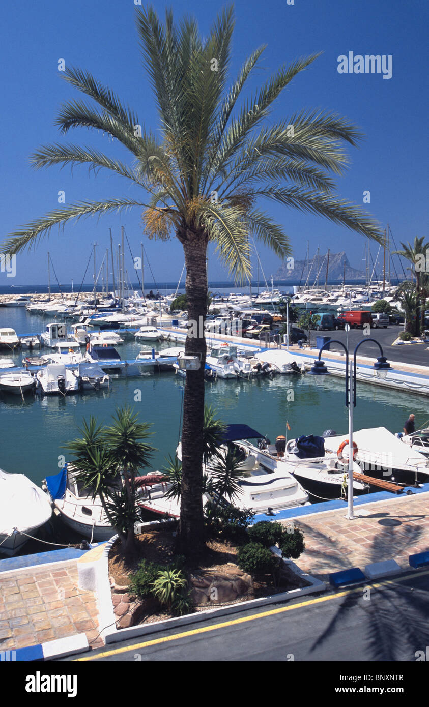 Boats at anchor in Moraira Marina with palm tree in the foreground Stock  Photo - Alamy