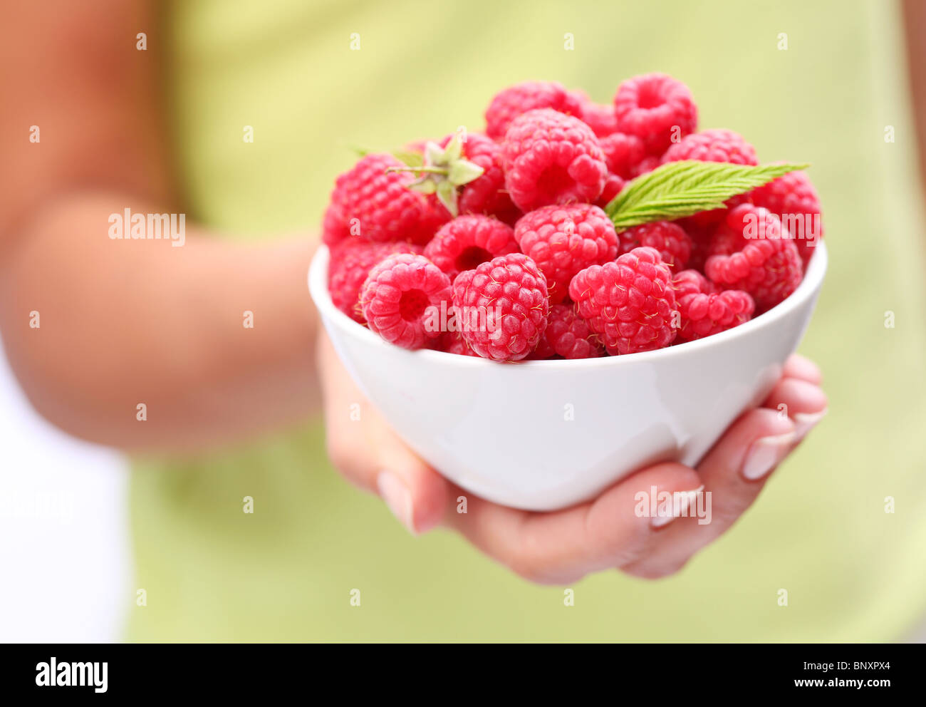 Crockery with raspberries in woman hand. Stock Photo