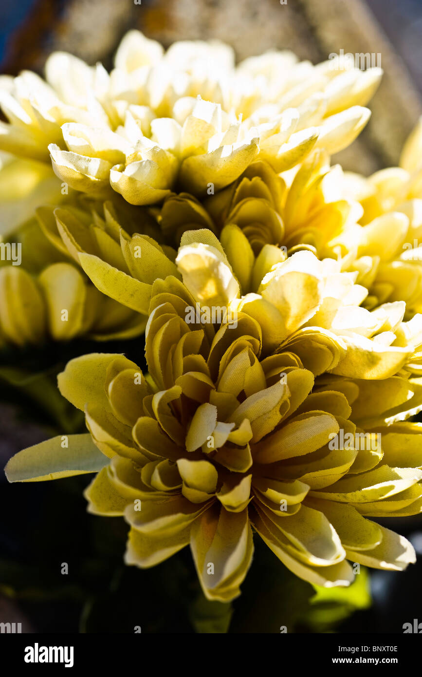 Close Up Of Artificial Flowers High Resolution Stock Photography and