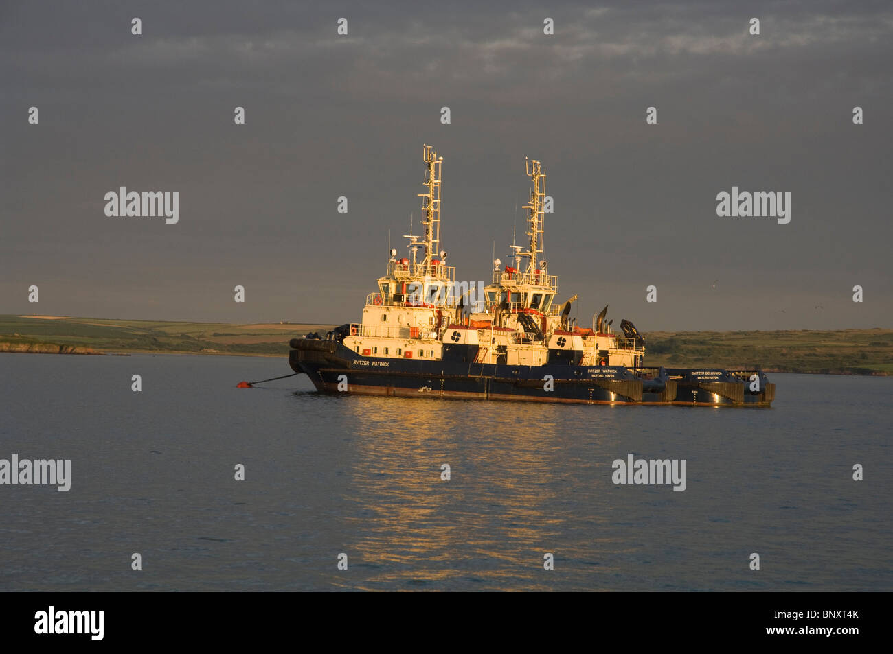 Tugs, Milford Haven, Pembrokeshire, Wales, UK, Europe Stock Photo