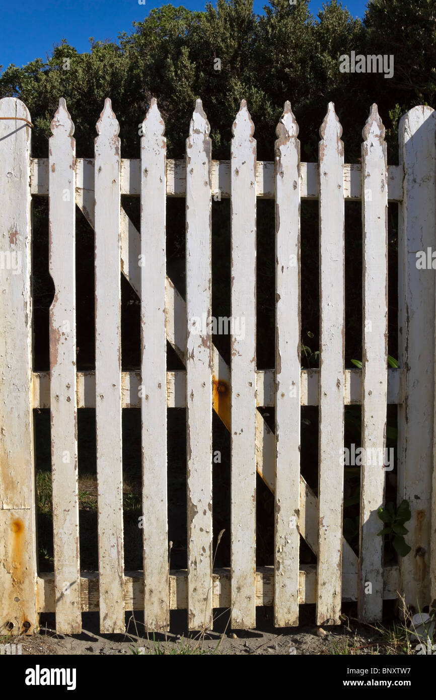 Old garden gate with peeling white paint in a picket fence Stock Photo