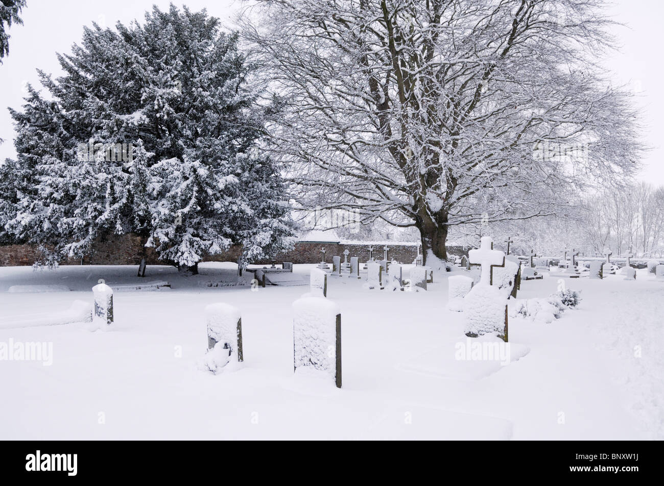 Wrington village in somerset england hi-res stock photography and ...