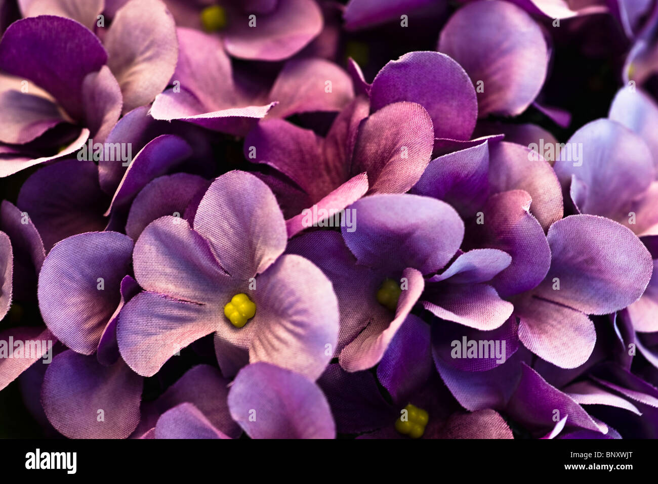 Close up of silk flower arrangements hires stock photography and