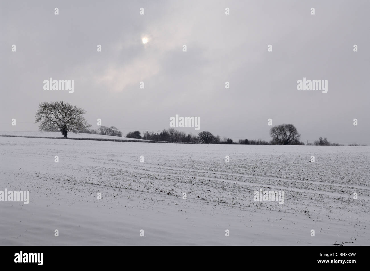 Somerset field hi-res stock photography and images - Alamy